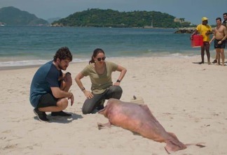Na série, um boto cor de rosa é encontrado no Rio de Janeiro (Foto: Netflix)