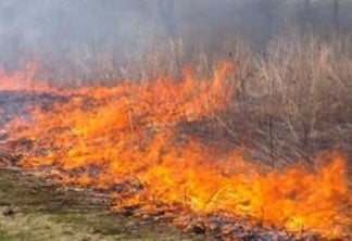 A queima autorizada e controlada auxilia que produtores rurais realizem a limpeza de terrenos para cultivos ou para forçar a recuperação de pastagens durante estiagem. (Foto: reprodução)