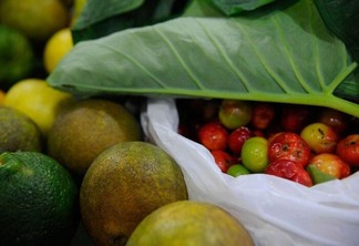 O Índice de Desperdício de Alimentos  analisa sobras em restaurantes e residências (Foto: Agência Brasil)