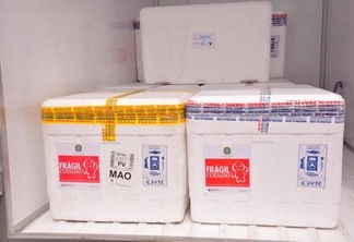 Com a nova remessa, Roraima alcançará um total de 120.060 vacinas recebidas do MS para o trabalho de imunização da população roraimense (Foto: Ascom Sesau)