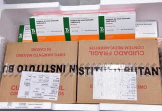Com a nova remessa, Roraima alcança 145.060 vacinas recebidas pelo MS até o momento (Foto: Ascom/Sesau)