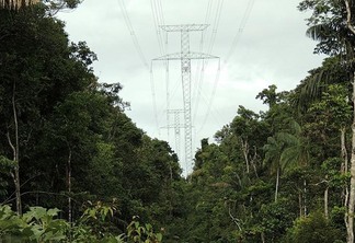 Linhão de Tucuruí iria conectar Roraima ao Sistema Interligado Nacional (SIN) (Foto: Ana Blanc/Ibama-AP)