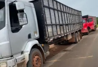 Caminhões parados em Mucajaí (Foto: Reprodução/Vídeo)