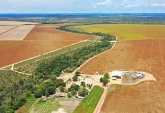 Recentemente o Estado recebeu também a certidão de propriedade das terras da gleba Caracaraí (Foto: Divulgação)
