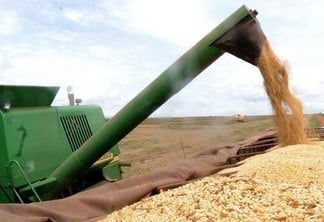 Agricultores que seguem as recomendações do Zarc estão menos sujeitos aos riscos climáticos (Foto: Arquivo Agência Brasil)