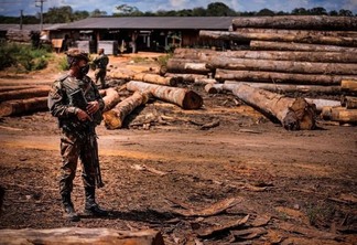 Operação Verde Brasil 2 encerra com queda no desmatamento, apreensões de 506 mil metros cúbicos de madeira (Foto: Ministério da Defesa)
