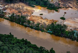 Operações oficiais não frearam destruição do território, que perdeu 200 hectares de floresta no primeiro trimestre de 2021 (Fotos: Divulgação)