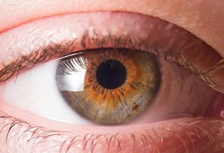 É importante realizar check-up após a recuperação da doença para prevenir danos maiores à visão (Foto: Divulgação)
