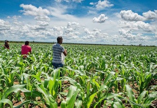 No primeiro semestre deste ano, 118 famílias vinculadas à quatro cooperativas agropecuárias receberam insumos (Foto: Divulgação)
