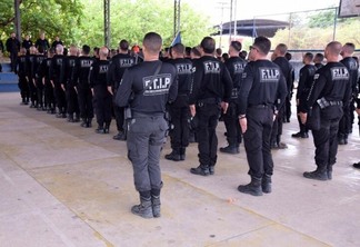 A FTIP atuará com as atividades e serviços de guarda, vigilância e custódia de presos (Foto: Divulgação)