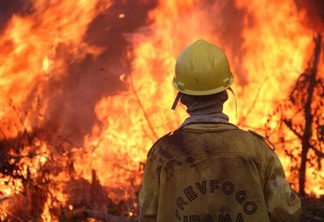  Todos os anos, Roraima sofre com o verão bastante quente e com incêndios florestais (Foto: DIvulgação)
