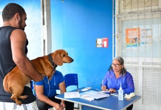 No ano passado, devido à pandemia, a prefeitura vacinou 23.956 animais, sendo 19.672 cães e 4.284 gatos (Foto: Divulgação)
