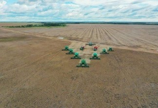 Em 2018 foram 30 mil hectares cultivados com soja, em 2021 já foram registrados plantios da oleaginosa em 80 mil hectares (Foto: Secom-RR)