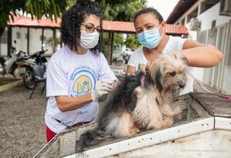  Devem ser vacinados cães e gatos a partir de três meses de vida (Foto: Divulgação)