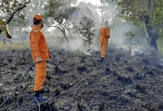 Em 2020, o CBMRR registrou 888 ocorrências e em 2019 foram 1150 atendimentos de incêndios em vegetação (Foto: Divulgação)