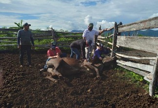 Serão 45 dias de trabalho nas terras indígenas Raposa Serra do Sol e São Marcos (Foto: Divulgação)