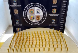 Há suspeitas de que parte das munições seriam comercializadas para garimpeiros (Foto: Divulgação/Polícia)