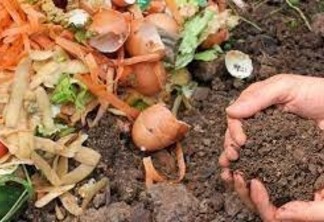 A compostagem é um processo natural de decomposição da matéria orgânica de origem animal ou vegetal. (Foto: Divulgação)