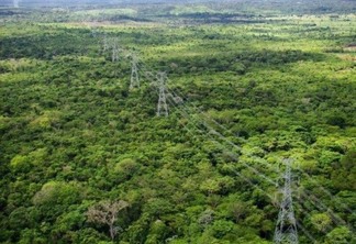 O linhão de Tucuruí, linha de transmissão de energia que pretende ligar Manaus a Boa Vista por meio do Sistema Interligado Nacional, (Foto: Divulgação)