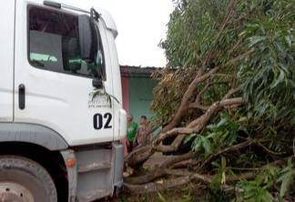 O caminhão ainda bateu em uma árvore ao tentar desviar da garota (Foto: Divulgação)