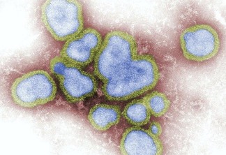 Cuidados contra o vírus influenza são os mesmos contra a Covid-19 (Foto: CDC/Unsplash/Divulgação)