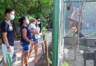 O visitante terá o contato com diversos animais que representam a fauna da região Norte (Foto: Nilzete Franco/FolhaBV)