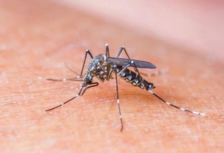 Resultado classifica o município em situação de médio risco, com índice de 1% para transmissibilidade de dengue, zika e chikungunya (Foto: Arquivo/FolhaBV)