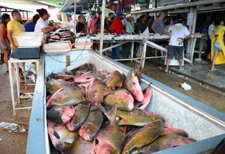 Vendedores esperavam uma procura maior por peixe durante esse periodo (Foto: Nilzete Franco)