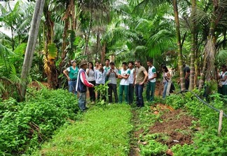 Os cursos destinam-se à formação de professores da educação básica de Roraima (Foto: Divulgação)