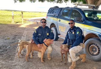Policiais federais, que realizam o resgate e os três animais entregues na fazenda (Foto: Divulgação/PRF)