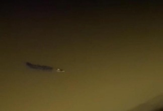 Apesar do espanto, o jacaré permaneceu tranquilo, nadando em seu habitat natural. (Foto: Reprodução)