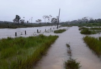 Rio Caroebe e afluentes têm elevado deixado vicinais submersas no Sul de Roraima (Foto: Divulgação)