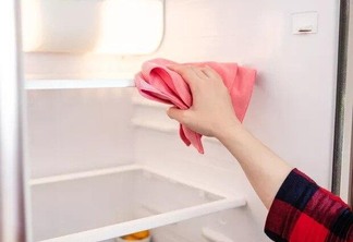 Se uma geladeira não for higienizada com frequência e da forma correta, pode causar muitos transtornos (Foto: Divulgação)