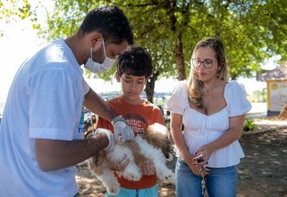 A prefeitura orienta que os cães e gatos sejam levados aos pontos de vacinação com coleira e guia (Foto: Divulgação)