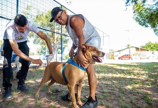 Para evitar qualquer tipo de acidente, a prefeitura orienta que os cães e gatos sejam levados aos pontos de vacinação com coleira e guia (Foto: Semuc/PMBV)