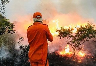 Os anos de 2019 e 2020 foram os que mais registraram atendimentos de incêndio florestais (Foto: Ascom/Corpo de Bombeiros)