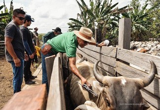 Na comunidade Truaru da Cabeceira, quase 300 animais foram vacinados