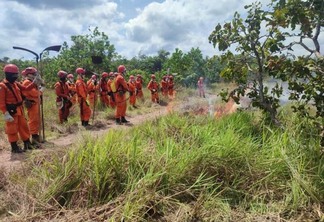 De janeiro a setembro de 2022, o Corpo de Bombeiros Militar e a Defesa Civil registraram o atendimento de 389 ocorrências envolvendo incêndios em vegetação no Estado (Foto: Corpo de Bombeiros)