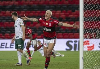 O atacante Pedro em jogo pelo Campeonato Brasileiro de 2021 (Foto: Alexandre Vidal/Flamengo)