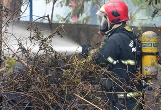  Os incêndios florestais em Roraima são uma questão que reincide de acordo com a questão climática (Foto: Nilzete Franco/FolhaBV)