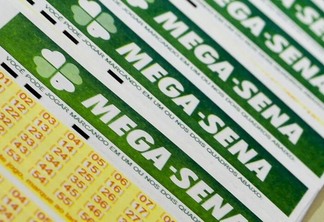 A aposta simples, com seis dezenas marcadas, custa R$ 4,50. (Foto: Agência Brasil)