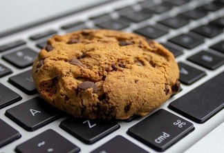"Cookie significa biscoito e é como se você deixasse migalhas de biscoito por cada site que passa", diz o especialista (Foto: Reprodução)