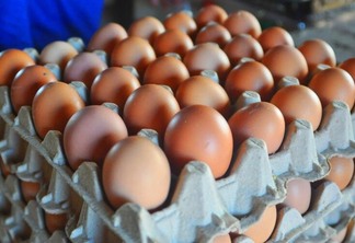 Cartela com 30 ovos pode custar até R$ 22 em supermercados de Boa Vista - Foto: Arquivo FolhaBV
