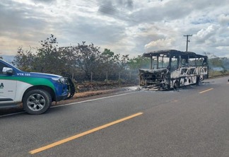 O motorista conseguiu retirar os três alunos antes que o fogo consumisse completamente o veículo (Foto: Divulgação)