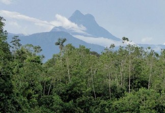 O Pico da Neblina fica no norte do estado do Amazonas, na Serra do Imeri, e é o ponto mais alto do Brasil. (Foto: reprodução/CMbio)