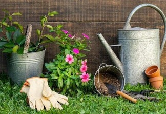 Realizada em casa, cuidar de plantas também é um método animado para aliviar o estresse e a ansiedade (Foto: Divulgação)