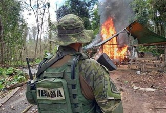 Agente do Ibama observa destruição de acampamento de garimpo ilegal - Foto: IBAMA