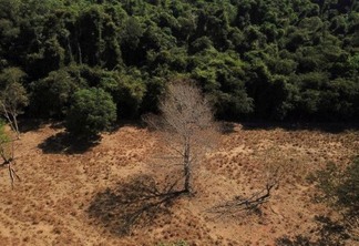 Ministério do Meio Ambiente e Mudança do Clima (MMA) informou que tomará medidas com o Ibama, ICMBio e o Serviço Florestal. (Foto: reprodução/Agência Brasil)