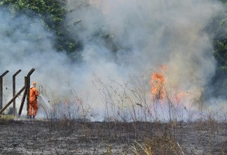 Somente em fevereiro, Roraima respondeu sozinho por mais da metade (57%) da área queimada no Brasil - Foto: Nilzete Franco/FolhaBV/Arquivo