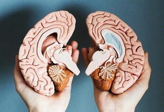 O cérebro é um órgão ativo que fica ligado o tempo todo enquanto estivermos vivos. (Foto: Reprodução/Internet)